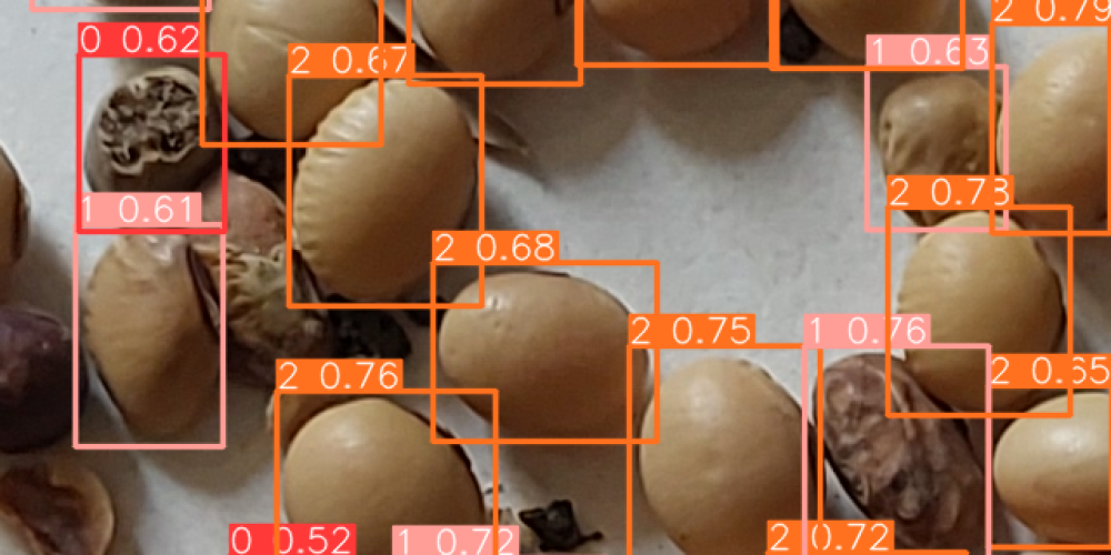 soydetection Soybean seed quality detection with object detection bounding boxes and confidence scores using machine learning